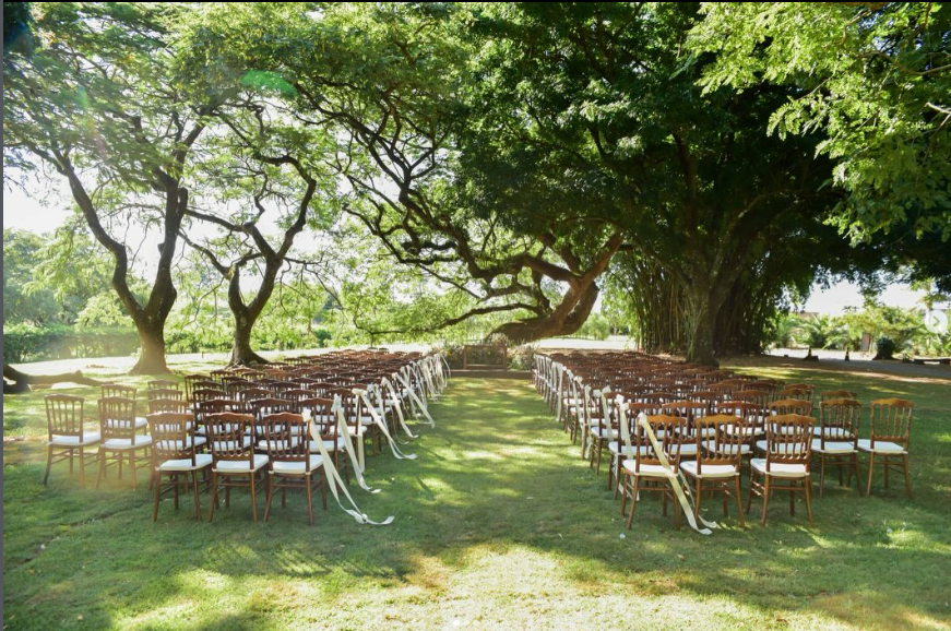 Clarissa Acosta - Decoração de Eventos